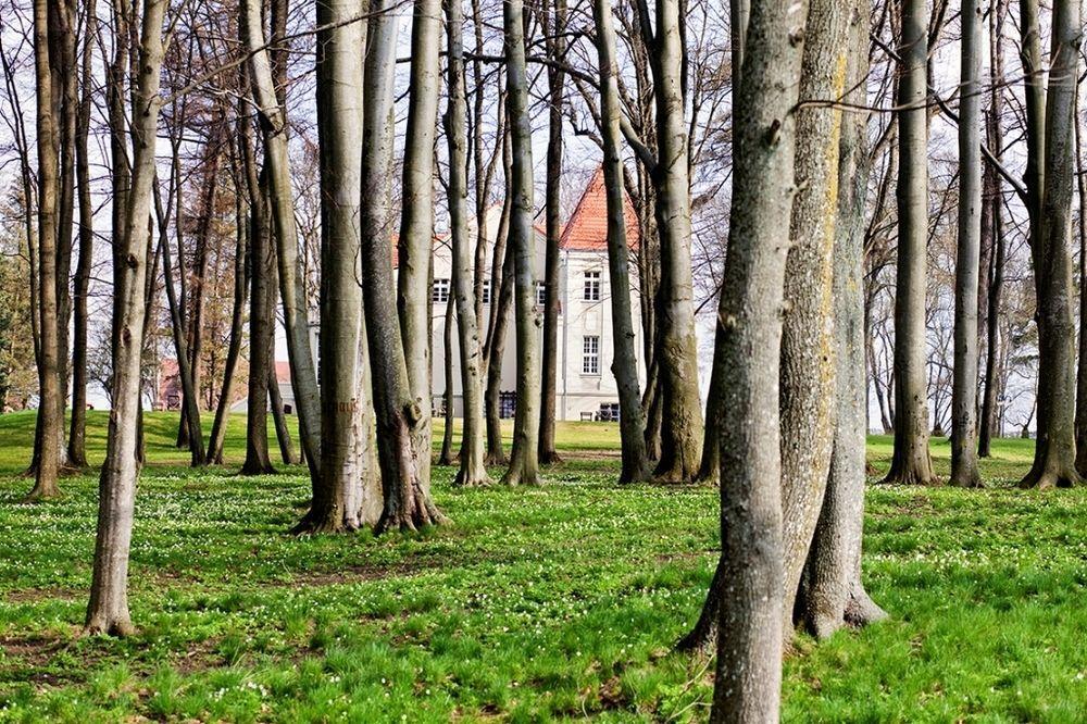 Zespol Palacowy Pacoltowo Na Wylacznosc Екстер'єр фото